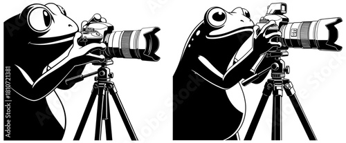 Two frogs taking photos with a camera on a tripod isolated on, one with a flash attachment