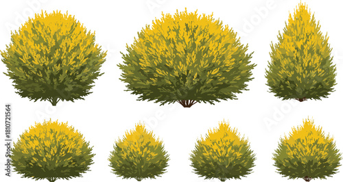 Set of stylized yellow green bushes with rounded and conical shapes for landscape design, gardening, nature, and botanical illustration