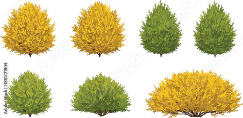 Stylized seasonal bushes and trees in autumn and summer colors, isolated foliage elements for landscaping, botanical, and nature design illustrations.