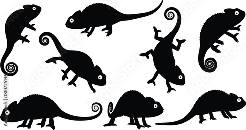 Set of Exotic Reptile Poses with Unique Tails and Black Vector Graphic Design.