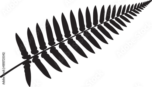 Black Silhouette Of A Fern Leaf On A White Background plant nature