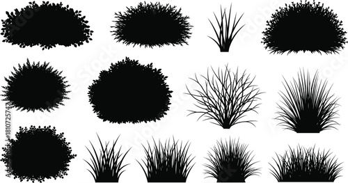 Black Silhouettes of Bushes and Grasses in Various Shapes for Botanical, Landscape, Nature, Garden, and Foliage Design Themes