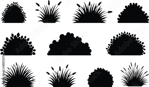 Black Silhouettes of Bushes and Shrubs in Various Shapes for Botanical, Landscaping, Nature, Garden, Foliage, and Design Themes