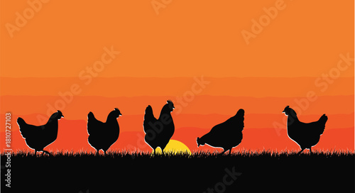 Silhouette chickens standing on grass at sunset with vibrant orange sky, peaceful rural farm scene, nature wildlife vector illustration