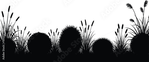 Silhouette of wild grasses, cattails, and plants with spider web, isolated black botanical vector for nature, landscaping, and outdoor design.