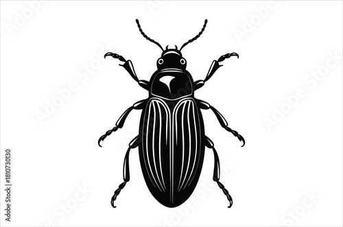 A striking black and white illustration of a detailed beetle design