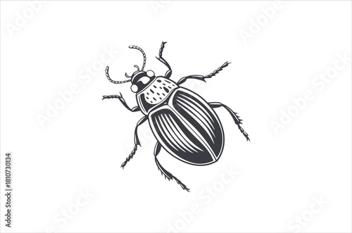 Detailed black and white illustration of a spotted beetle on a white background
