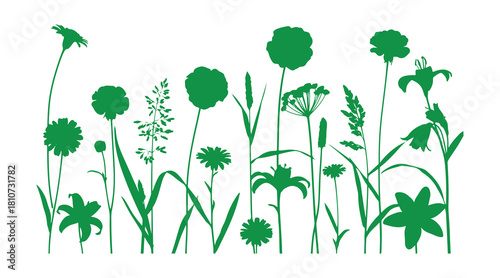 green background decorated with floral and grass silhouettes.
