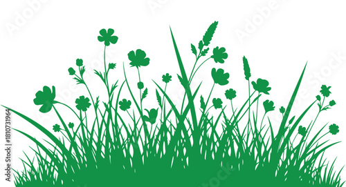 Nature-themed graphic with outlined flowers on green.