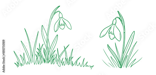 Hand-drawn doodle of a grass field with a single early spring snowdrop.