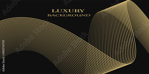 Abstract luxury with shining gold lines waves on black background.