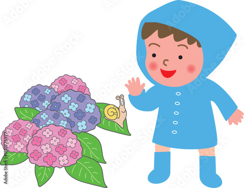 レインコートの男の子と紫陽花
