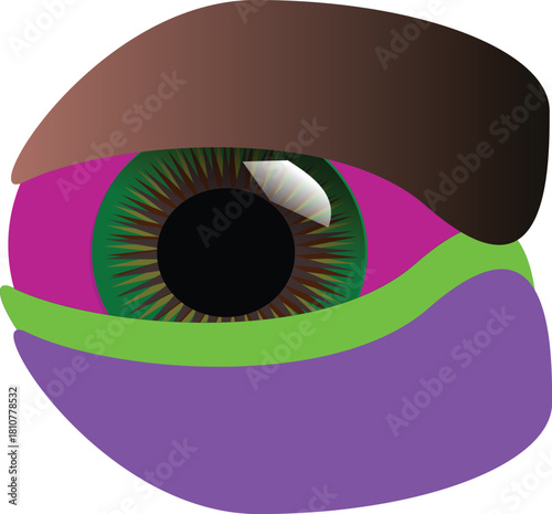 Vector illustration of human eye anatomy showing pupil, iris, and lens for vision design