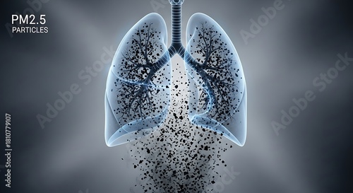 PM2.5 particles entering lungs, air pollution concept, respiratory health.