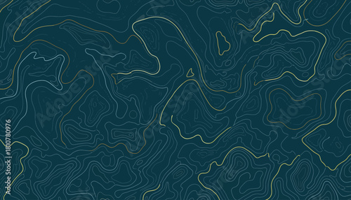 Abstract topographic representation with flowing lines on a dark teal backdrop