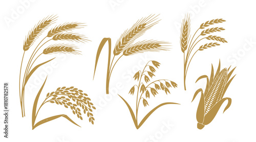 Agriculture symbol showing grain-bearing plants in silhouette style.