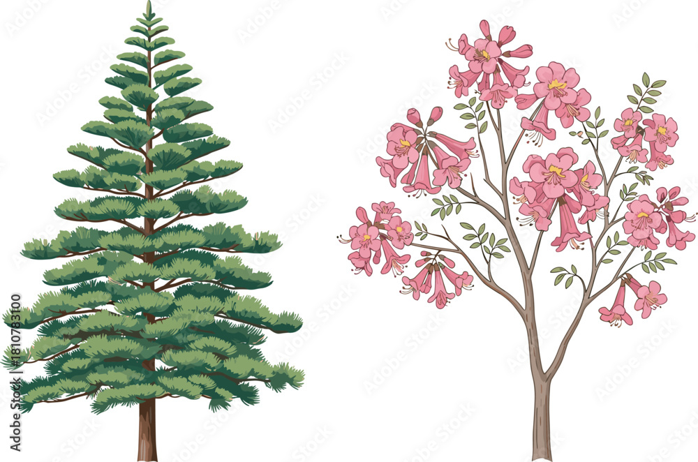 Naklejka premium Lush evergreen pine tree and vibrant pink trumpet flower tree vector illustration set, nature, botany, forestry, and ornamental garden design elements on white background.