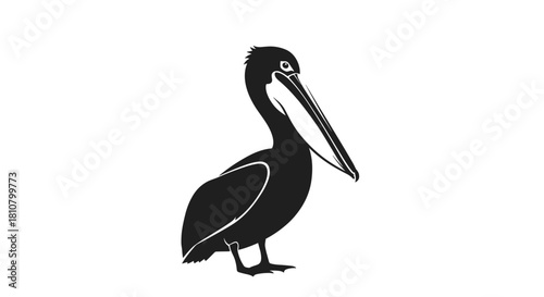 Stylized black and white illustration of a pelican, highlighting its characteristic long beak and prominent throat pouch while standing.