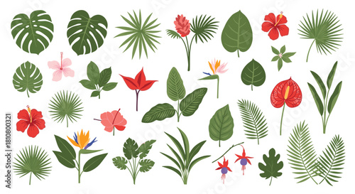 Collection of tropical leaves and exotic flowers, including monstera, palm, hibiscus, and bird of paradise, on a white background.