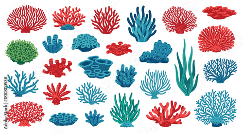 A colorful collection of various types of coral and seaweed in different shapes and colors.