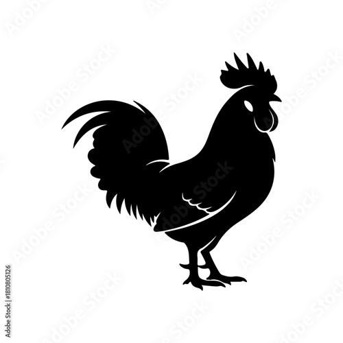 Rooster silhouette icon vector illustration on white background