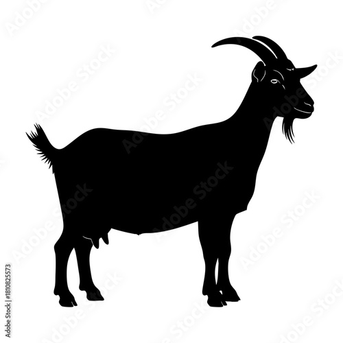 Farm Goat Standing Side Profile Silhouette Vector