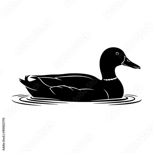 Swimming Duck Silhouette Vector Graphic Design