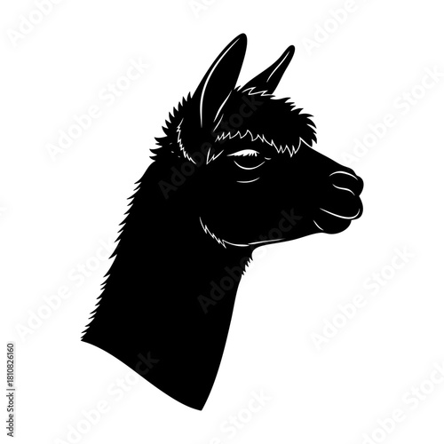 Llama with Blanket Silhouette Vector Graphic