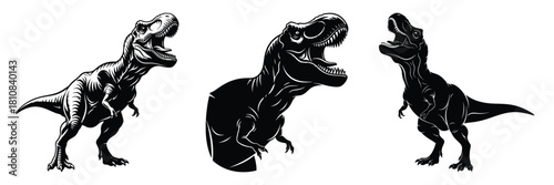 Three ferocious Tyrannosaurus Rex dinosaurs are depicted in black and white vector illustrations with their mouths open ready to roar