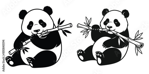 Two cute panda bears are sitting and eating bamboo shoots in a black and white illustration