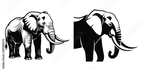 Two graphic black and white elephant illustrations showing the full body and a close up of the head and shoulders