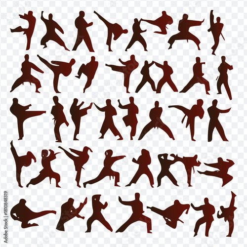 Martial arts silhouettes collection training fighting poses and positions graphic resource