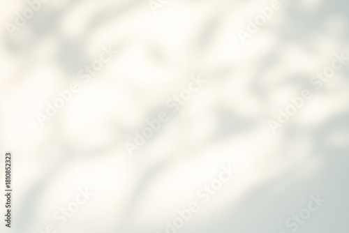 Soft-focus, abstract background of bright white and subtle gray, featuring dappled, out-of-focus shadows cast by leaves or trees. Ideal for texture, overlay, or graphic design.