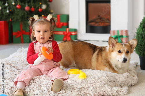 Cute little girl with Corgi...