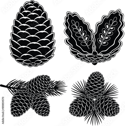 Monochromatic collection of stylized black and white illustrations featuring various coniferous elements like pine cones and spruce cones with needles, ideal for rustic, forest, and holiday themed