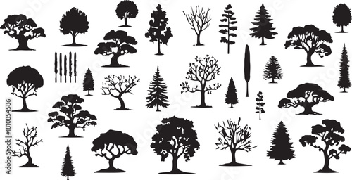 Diverse tree silhouettes collection for graphic design and illustration