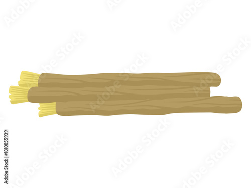 Miswak Toothbrush Clip Art Illustration
