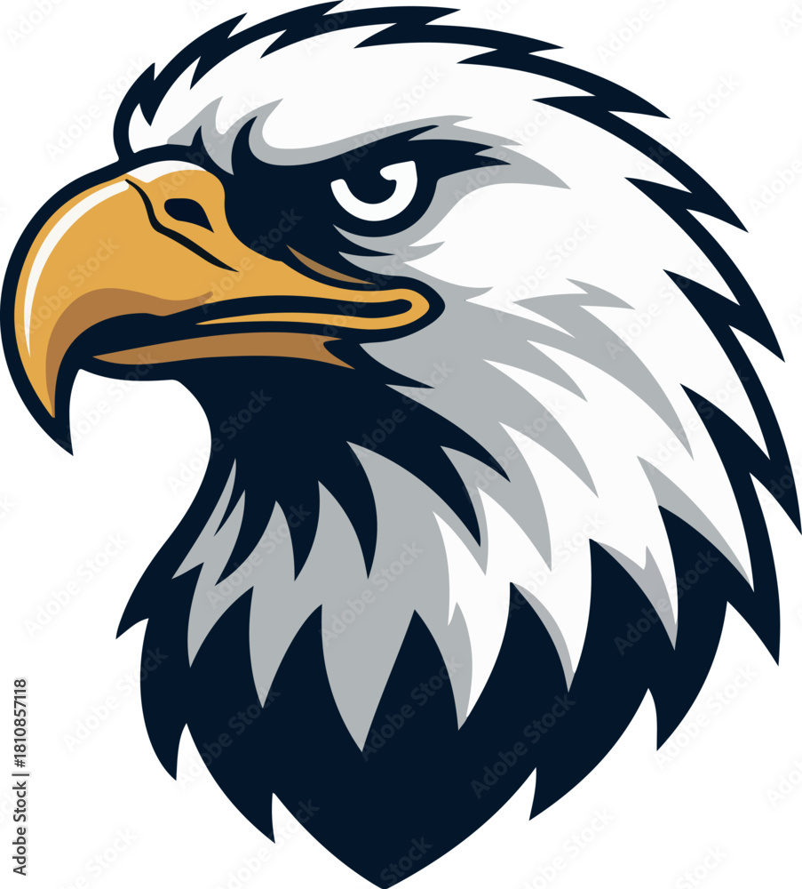 Fototapeta premium eagle head vector illustration