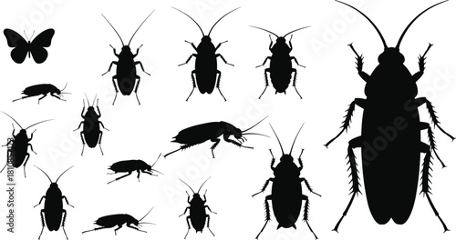 Cockroach and butterfly silhouette, insect vector illustration, pest control concept, black bug graphic, entomology study, isolated white background