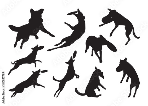 Frisbee Dog vector, Frisbee Dog clipart, Frisbee Dog silhouette	