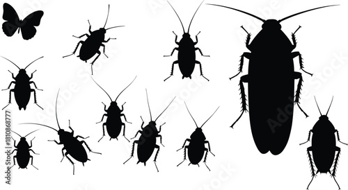Insect silhouette illustration, cockroach and butterfly, black vector graphic, pest control concept, bug comparison, entomology art, isolated white background