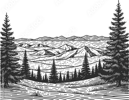 Engraved tree trunk silhouette with coniferous branches against a dark backdrop