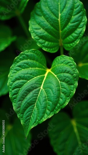 Intricate gold veins on emerald leaves, spring motif , texture, vector