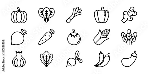 Vegetable icon pack with simple outline style. A vector graphic collection of fresh farm produce for healthy eating concepts