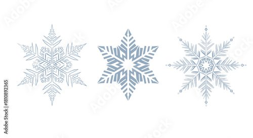Elegant snowflake Collection for winter holiday designs, creating a cool, festive vibe with delicate frosty patterns and a sophisticated seasonal touch