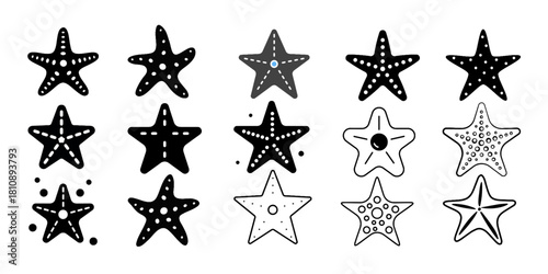 a starfish, a starfish, a starfish, a starfish, a starfish, a starfish, a starfish, a starfish, a starfish, a starfish, a starfish, a starfish, a starfish, a starfish