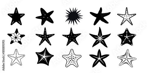 starfish, sea star, underwater, marine life, black and white, minimalist, line art, graphic design, vector illustration, simple, elegant, nature