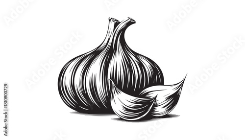black color garlic silhouette vector illustration, solid white background