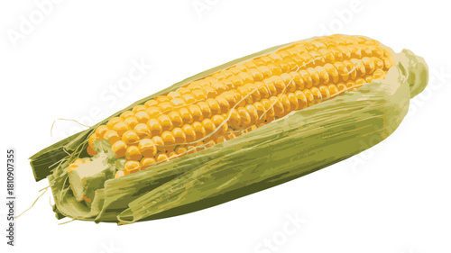 Fresh Corn on the Cob with Green Husks and Yellow Kernels Isolated on White Background Keywords: corn, cob, corn on the cob, maize, vegetable, food, ingredient, agriculture