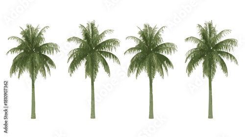 Four Green Palm Trees in a Row on a White Background tropical nature